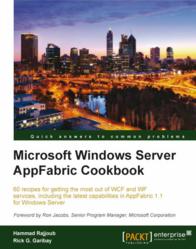 appfabric windows server, microsoft appfabric